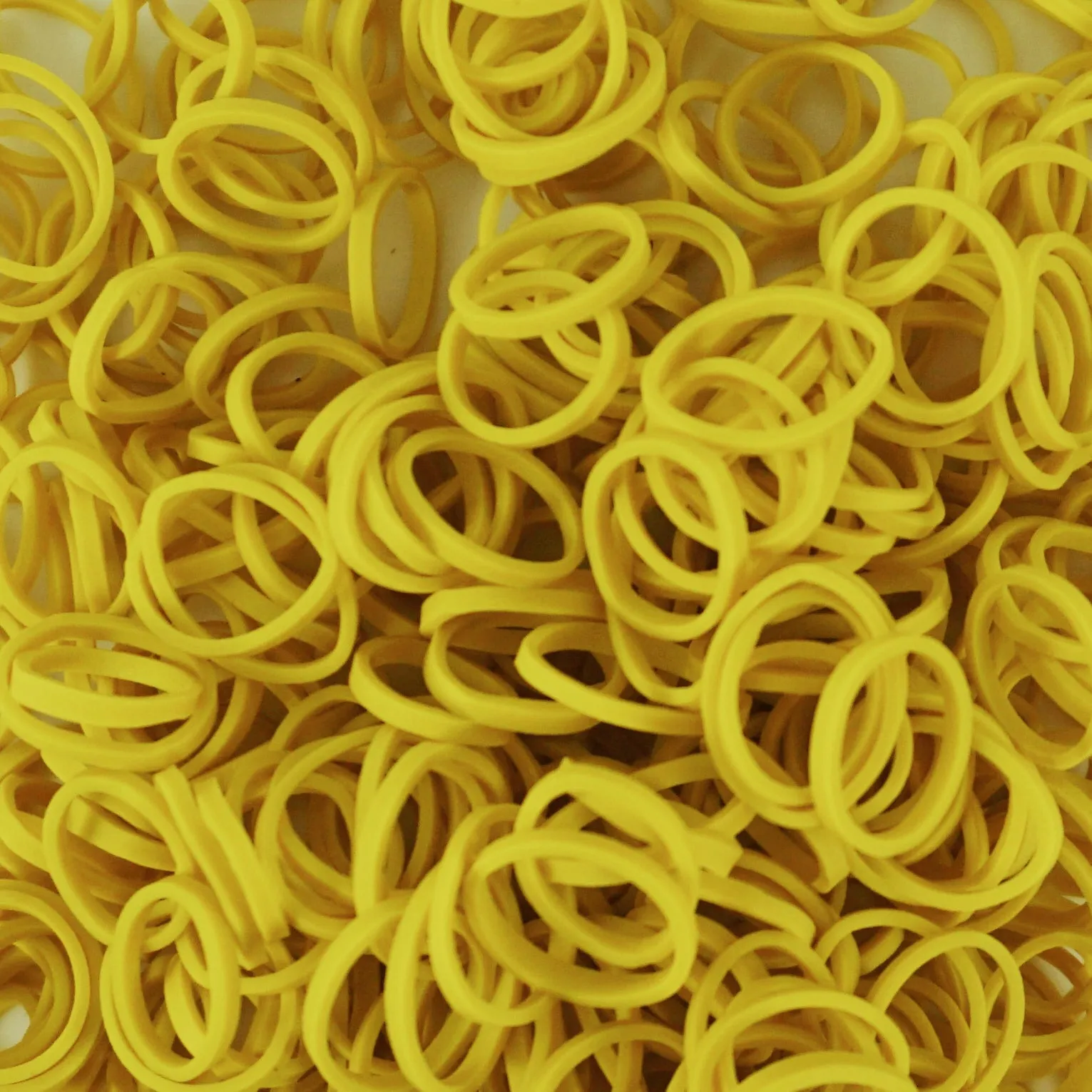 Amelia Beauty | 1/2in, Yellow, Elastic Rubber Band Pony Tail Holders | Made in USA, Ideal for Ponytails, Braids, Twists, Dreadlocks, Styling Accessories for Women, Men and Girls | 1000 Pack