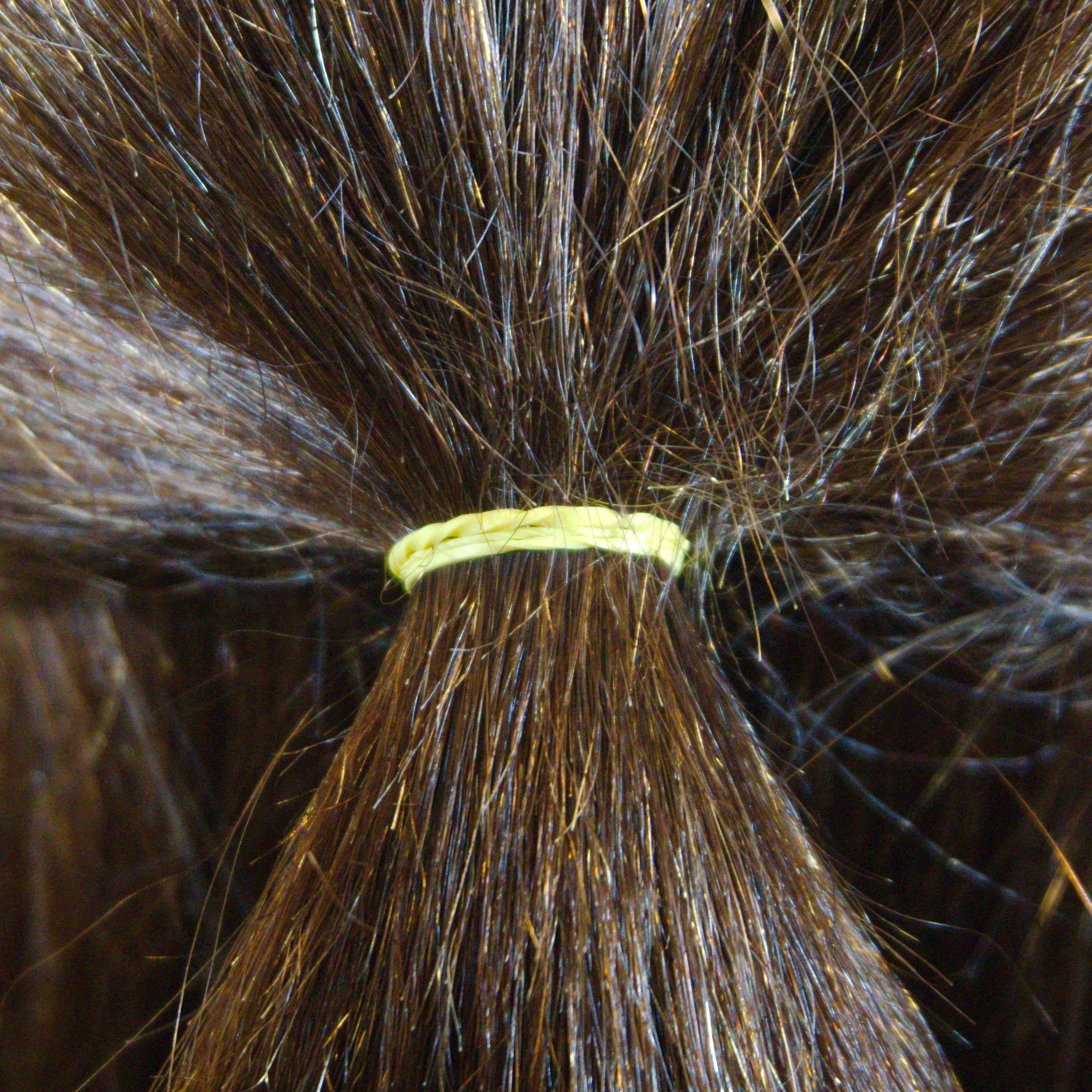 Amelia Beauty | 1/2in, Yellow, Elastic Rubber Band Pony Tail Holders | Made in USA, Ideal for Ponytails, Braids, Twists, Dreadlocks, Styling Accessories for Women, Men and Girls | 1000 Pack