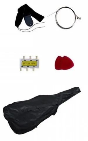 Carrying Bag For Electric Guitar, Strap, Picks, Pitch Pipe Tuner & Extra Strings