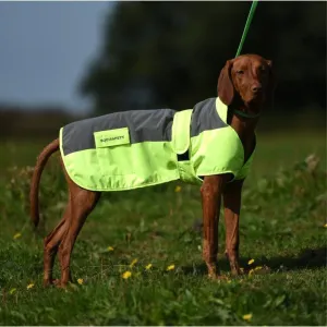 Equisafety Reflective Mercury Dog Rug - Yellow