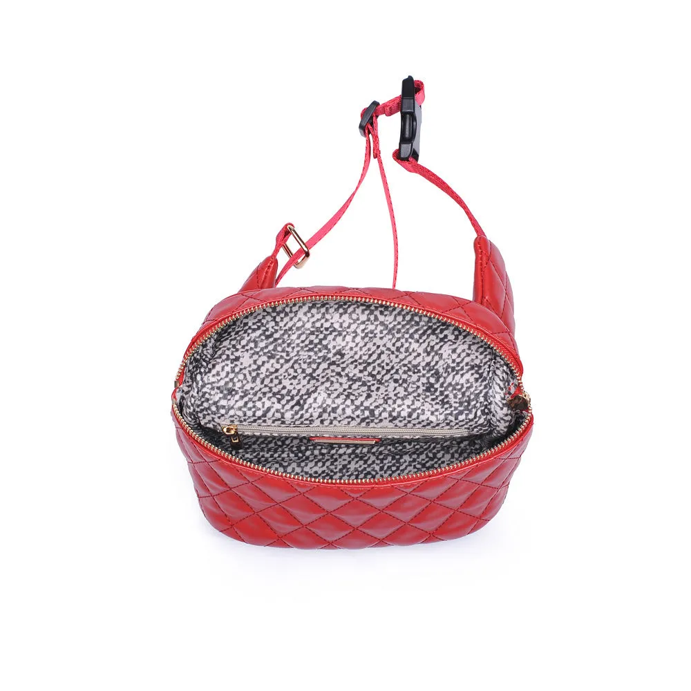 Hawthorn Belt Bag