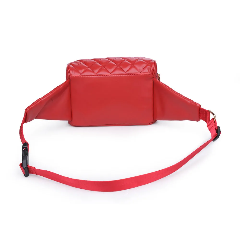 Hawthorn Belt Bag