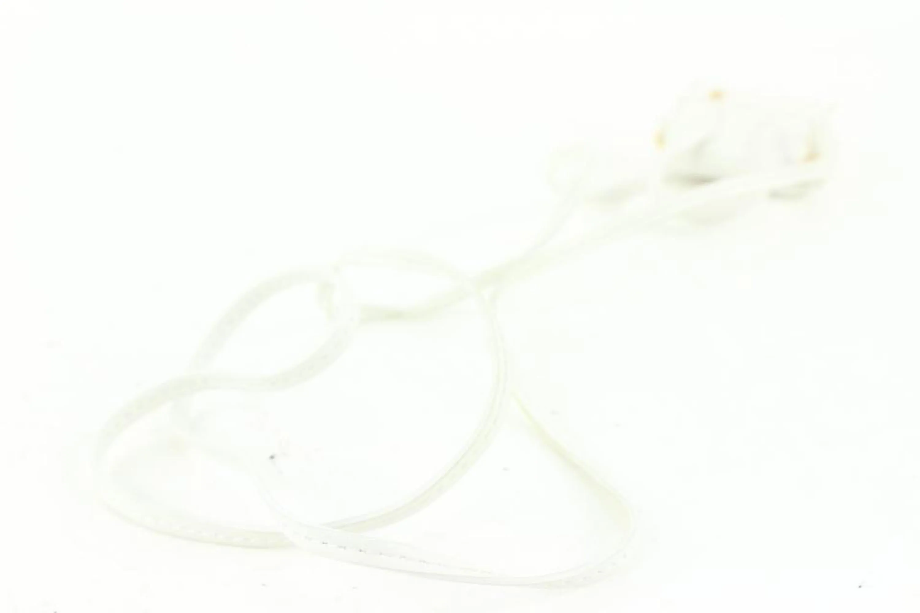 Jacquemus White Le Petit Chiquito Nano Mini Crossbody Bag 4j815