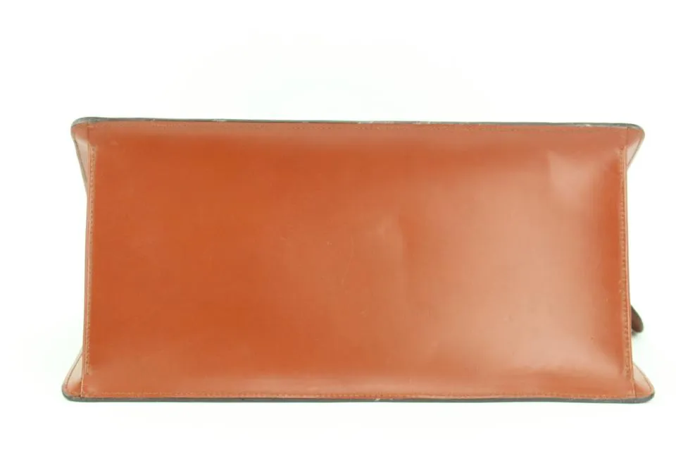 Louis Vuitton Brown Epi Leather Riviera Vanity Tote Bag 862842