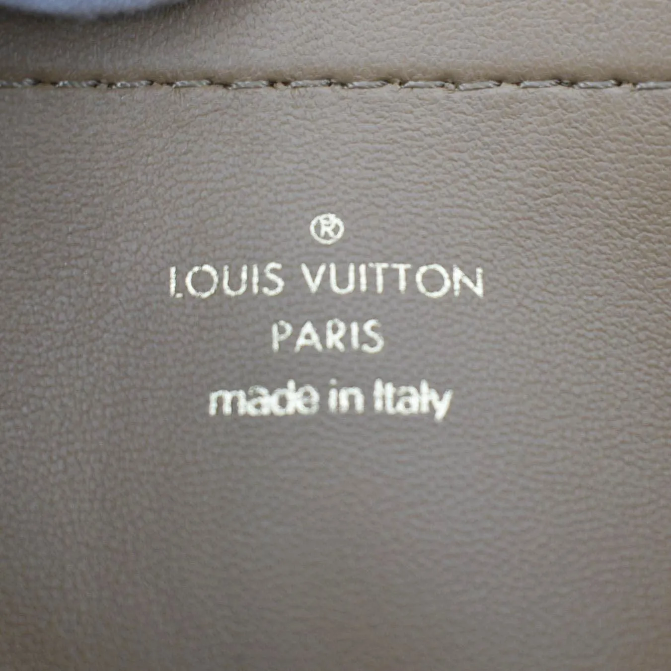LOUIS VUITTON Coussin Pochette Monogram Leather Crossbody Bag Camel