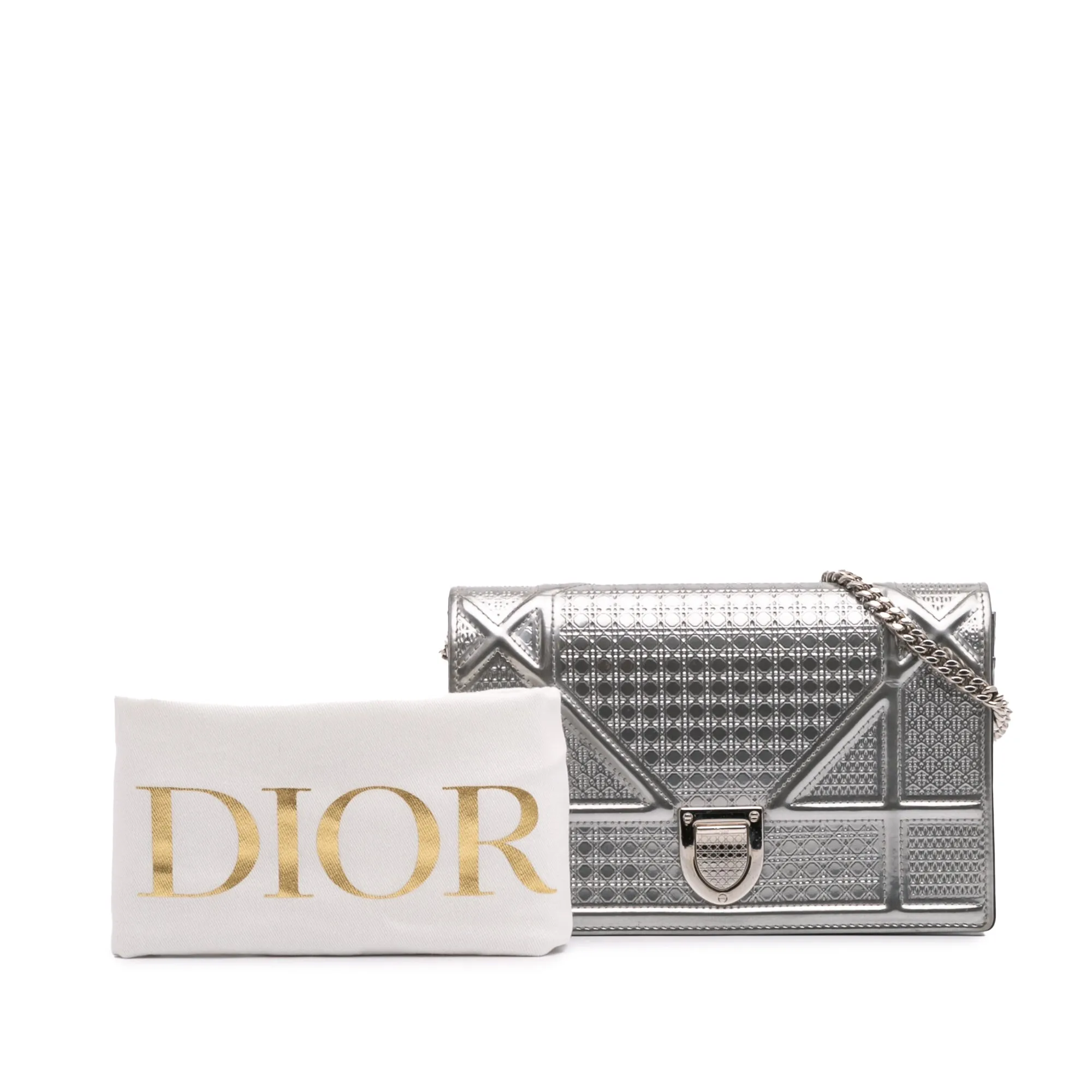 Metallic Patent Microcannage Diorama Wallet on Chain