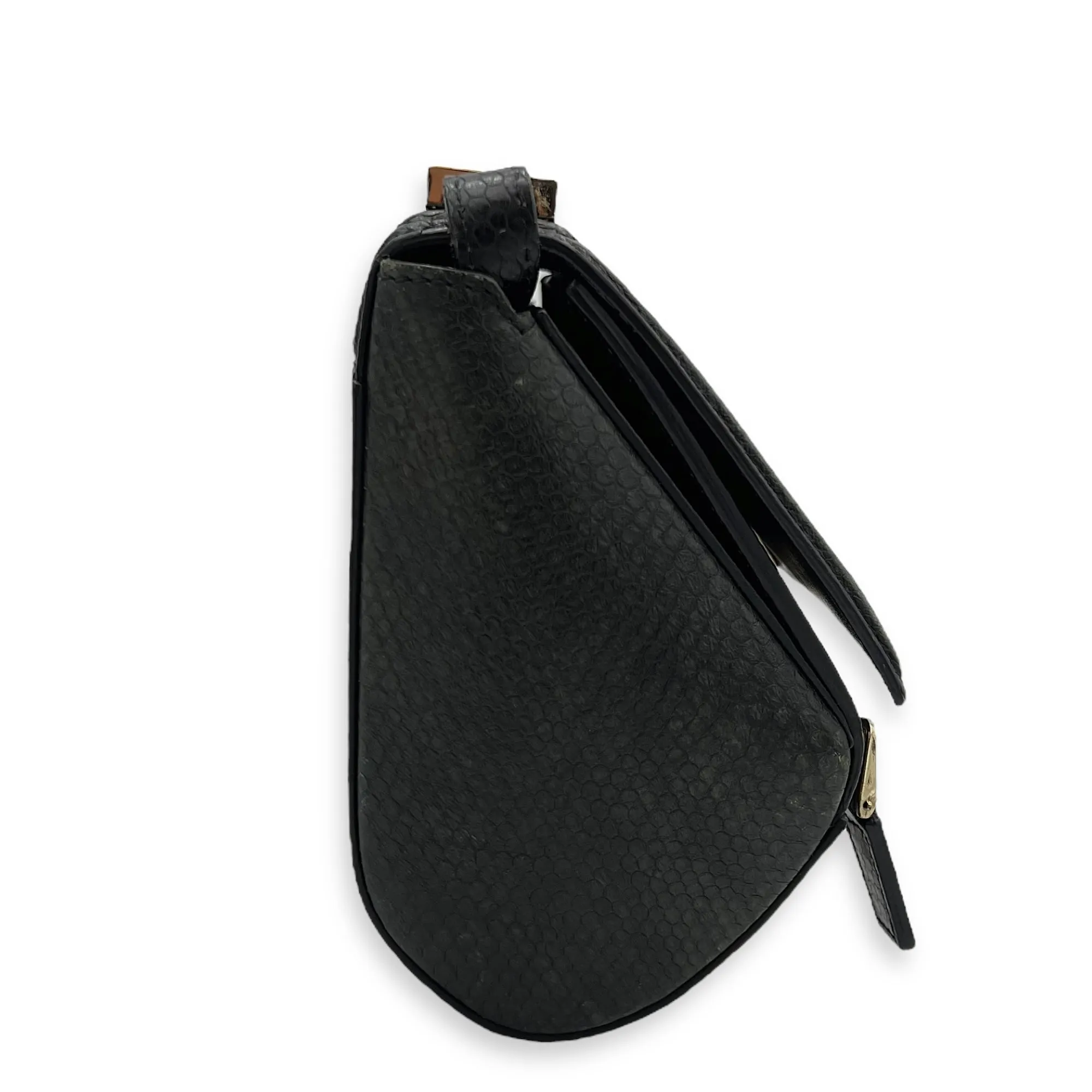 Pandora Box Crossbody Bag Multi-colour in Python Leather, Silver hardware