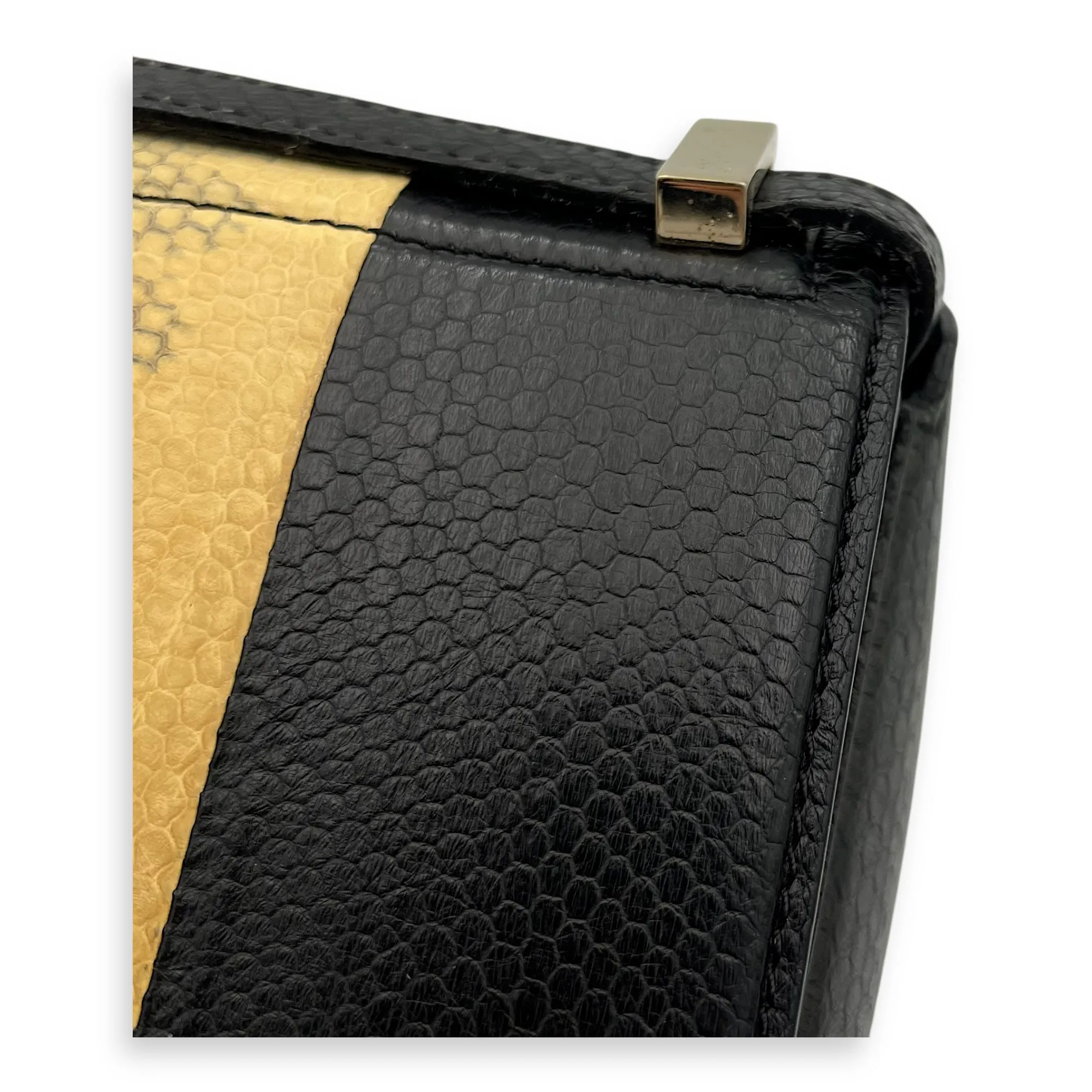 Pandora Box Crossbody Bag Multi-colour in Python Leather, Silver hardware