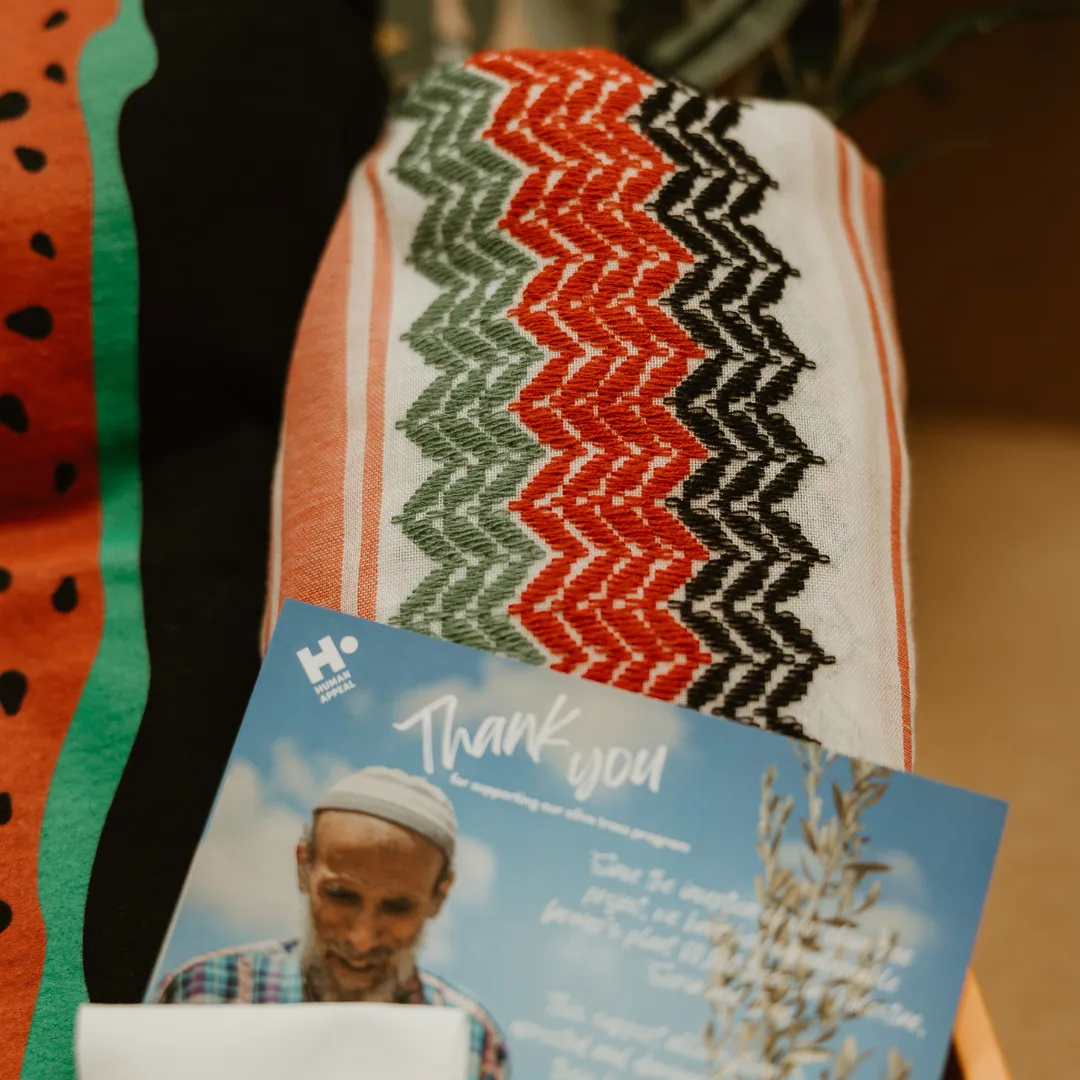 Plant an Olive Tree Gift Box - Sitti x Human Appeal Canada