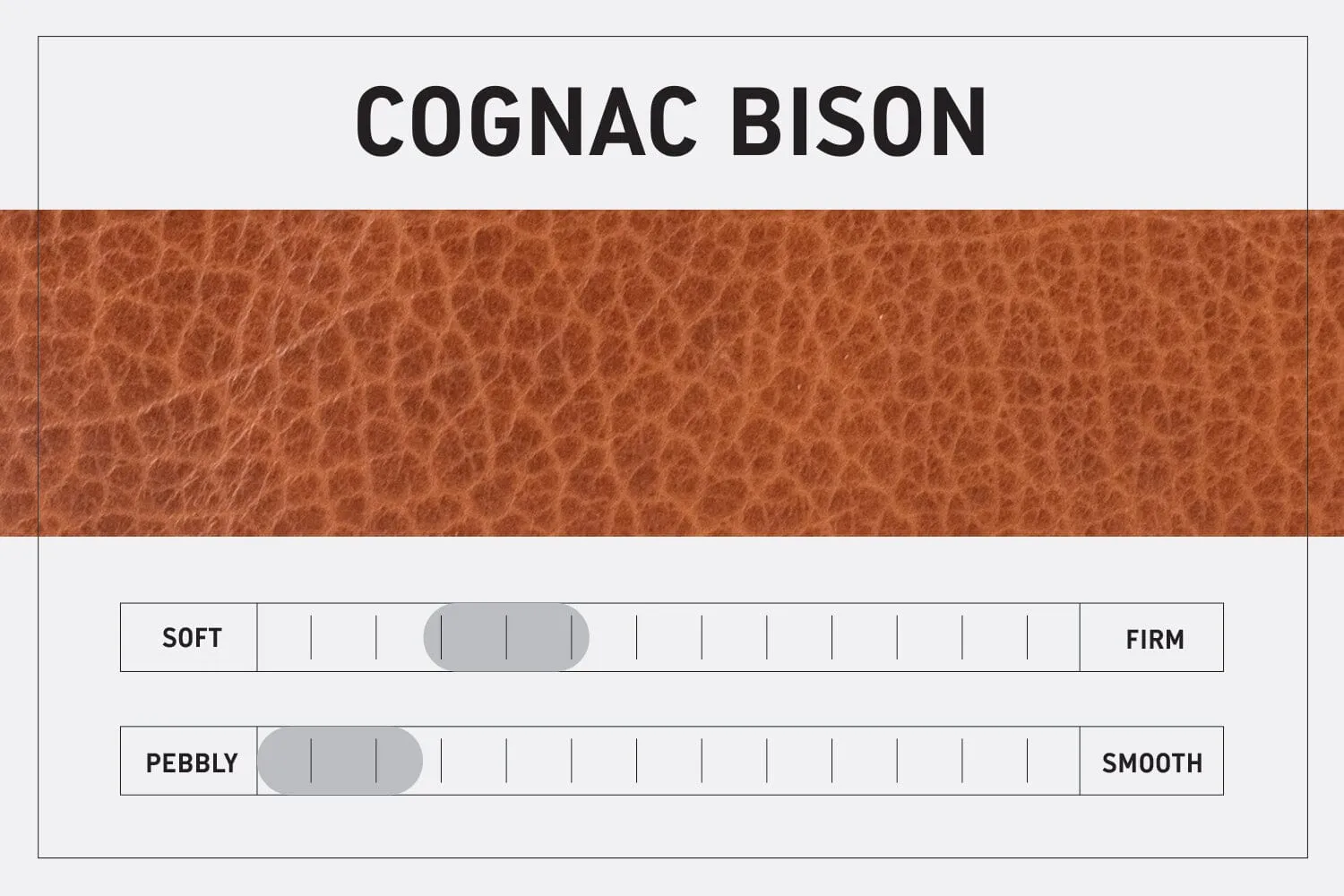 SARAH LEATHER CROSSBODY - LARGE - COGNAC BISON