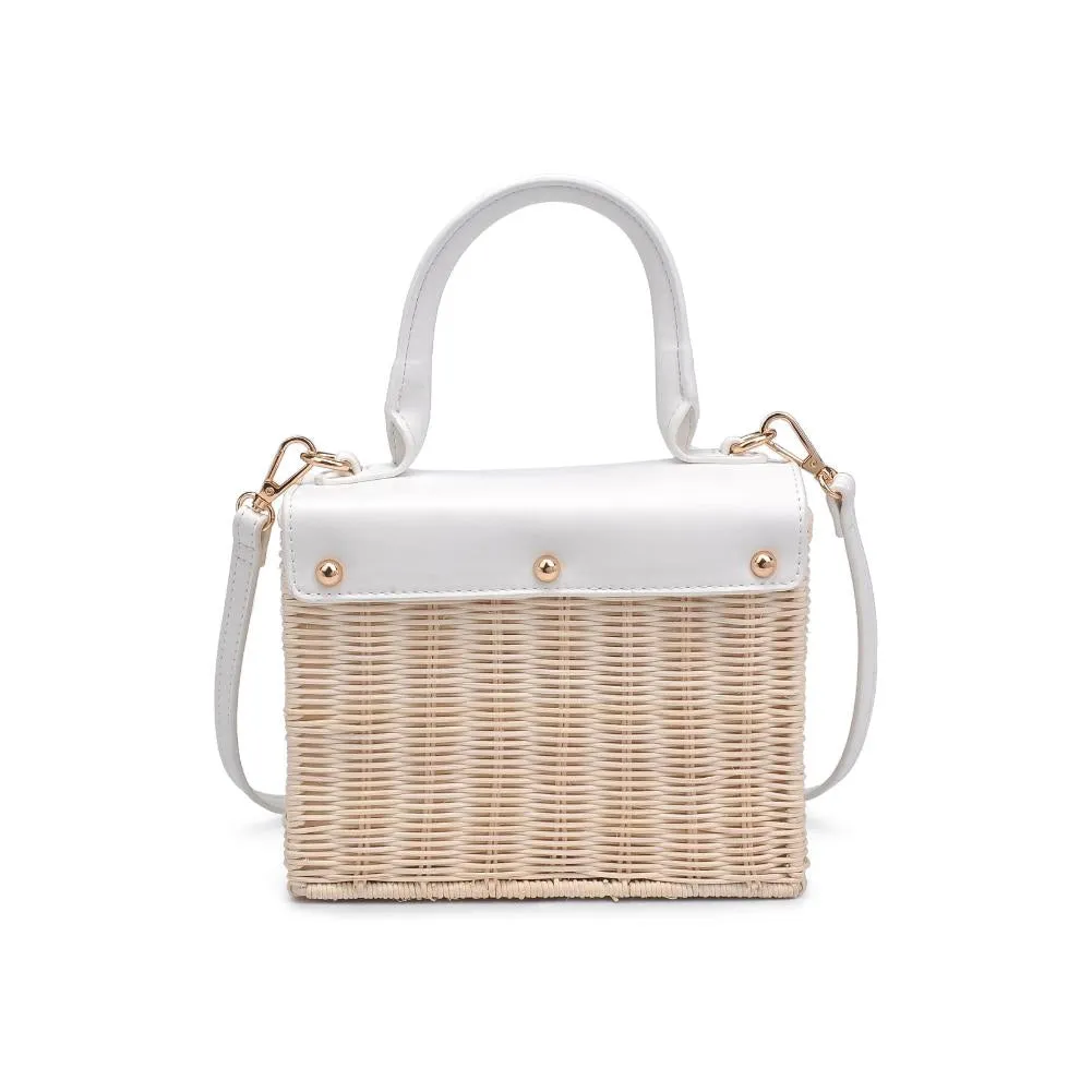 Terri Purse