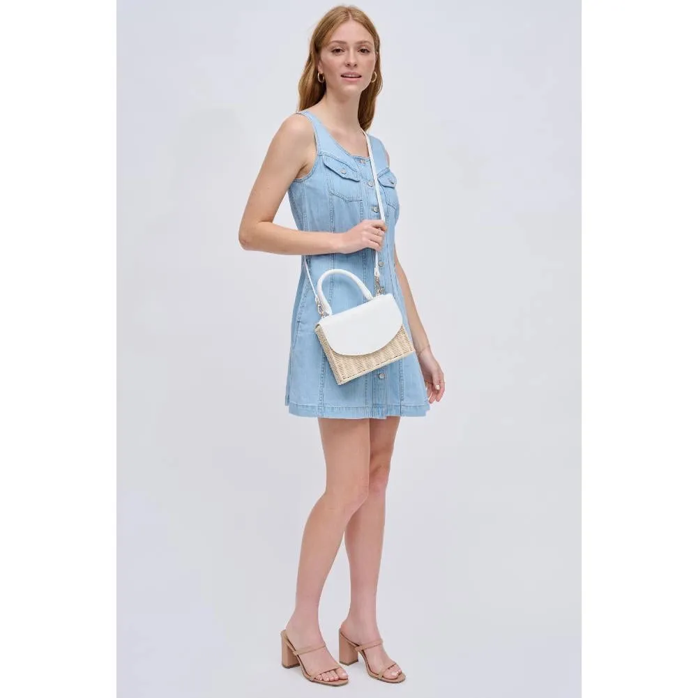 Terri Purse