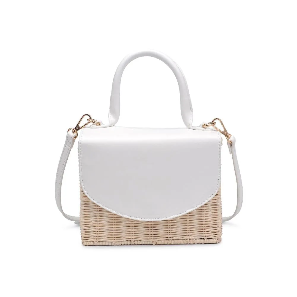 Terri Purse
